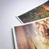 JJPRINTS Canvas Paper Photo Print 260gsm Resin Coated A4 size